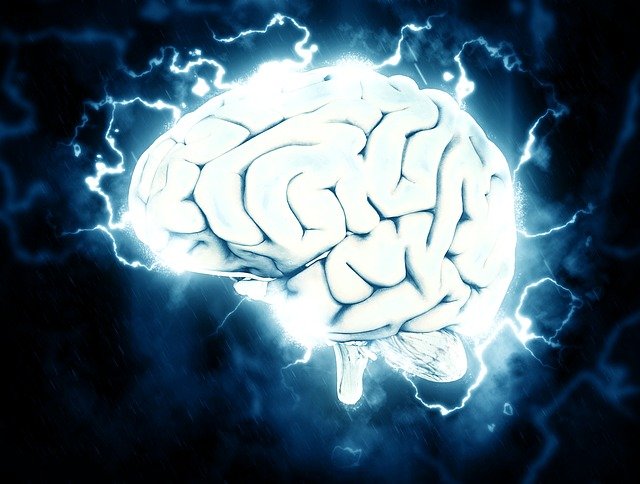 What Is Neuroplasticity and How Does It Work?
